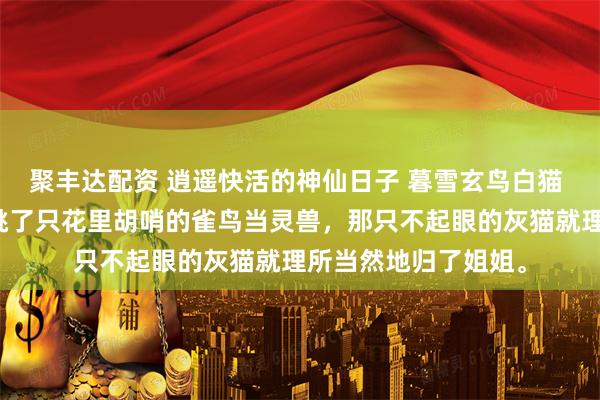 聚丰达配资 逍遥快活的神仙日子 暮雪玄鸟白猫 重生前,我给自己挑了只花里胡哨的雀鸟当灵兽,那只不起眼的灰猫就理所当然地归了姐姐。