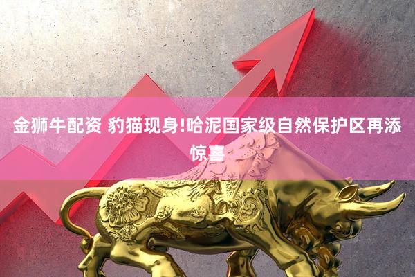 金狮牛配资 豹猫现身!哈泥国家级自然保护区再添惊喜