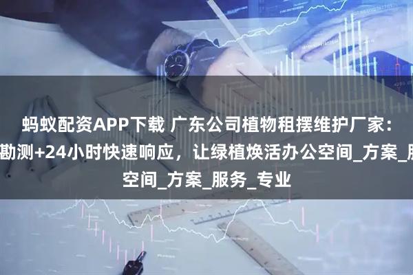 蚂蚁配资APP下载 广东公司植物租摆维护厂家：免费上门勘测+24小时快速响应，让绿植焕活办公空间_方案_服务_专业